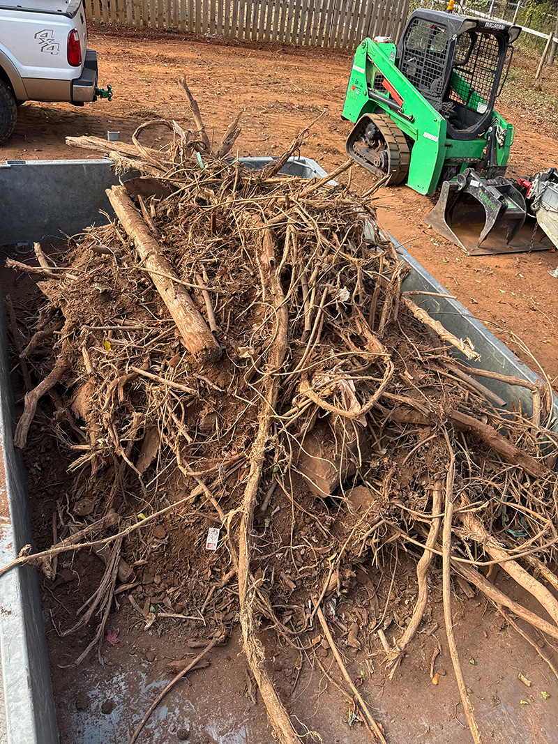 Brush clearing and property cleanup