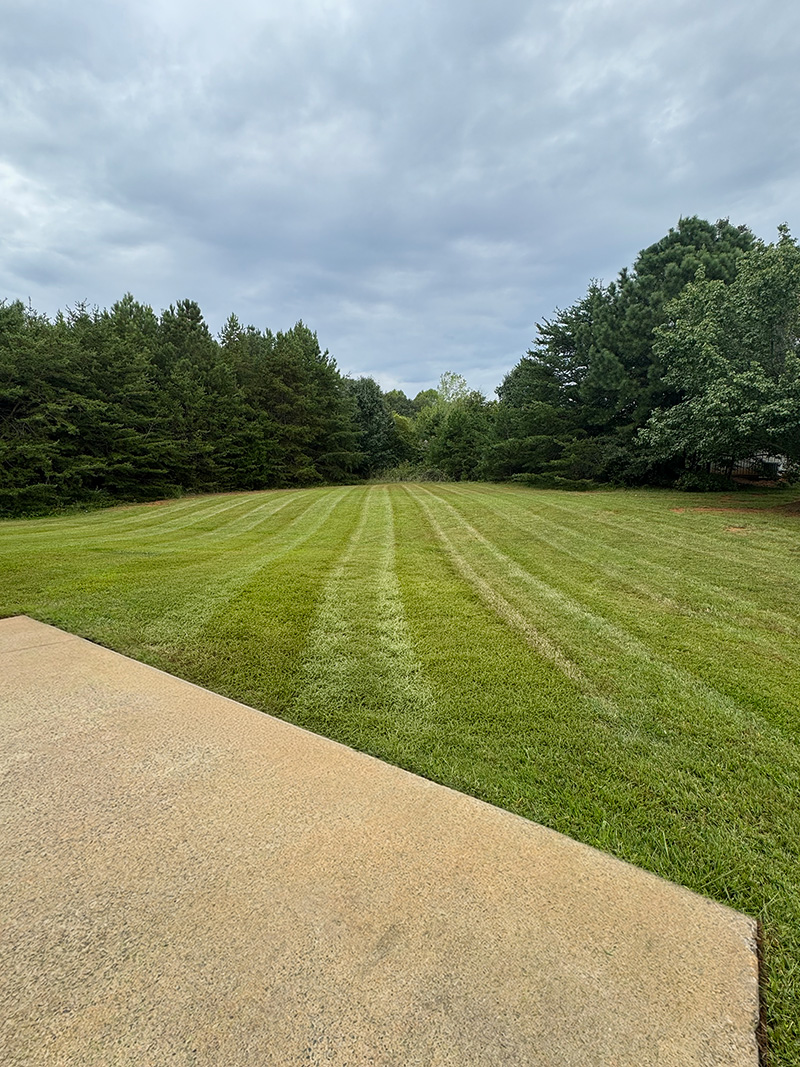 Freshly cut lawn with clean lines