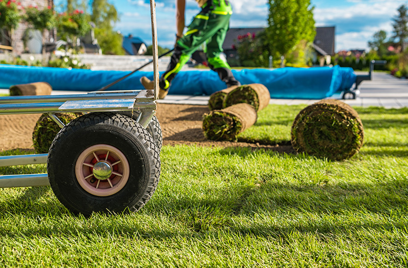 Team working on a beautiful yard